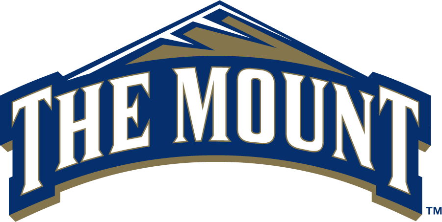 Mount St. Marys Mountaineers 2006-2016 Primary Logo iron on transfers for T-shirts